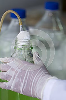 Scientist hand pouring plankton into bottles in Scientific labo