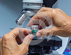 Scientist Handling Sample Under Microscope Laboratory Setting