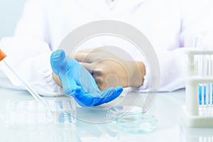 Scientist hands putting in nitrile blue latex gloves in labcoat wearing nitrile gloves