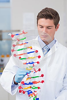 Scientist holding dna model