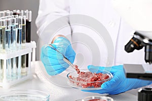 Scientist holding Petri dish with forcemeat over table in laboratory