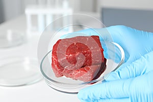 Scientist holding Petri dish with pieces of raw cultured meat in laboratory, closeup