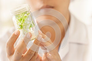 Scientist holding plant tissue culture bottle, performing laboratory experiments. Small Asparagus in test bottle. Soft