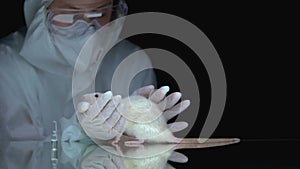 Scientist holding rat, ampule with medicine on table, animal test, pharmacology