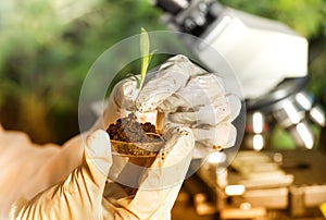 Scientist holding sprout above petri dish