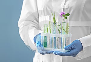 Scientist holding test tubes with plants in holder on color background