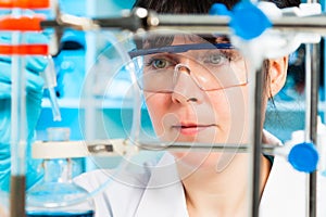 Scientist holds and examine samples in a laboratory