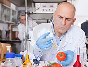 Scientist injecting reagent into tomatoes