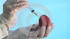 Scientist Injects Strawberry with a Syringe.
