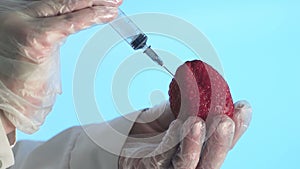Scientist Injects Strawberry with a Syringe. Corona. Covid-19