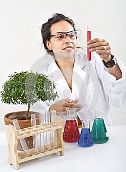 Scientist lab plant