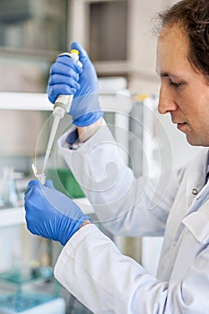 Scientist in the laboratory filling test tubes with pipette