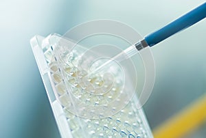 Scientist in a laboratory using a pipette to measure out a sample of clear liquid for analysis