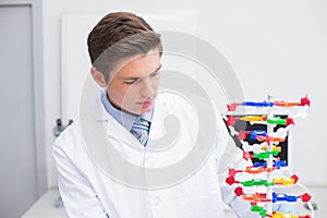 Scientist looking at dna model