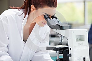 Scientist looking into a microscope