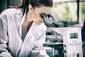 Scientist looking into a microscope