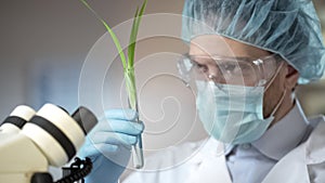Scientist looking at plant, made scientific breakthrough in biology, innovation