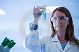 Scientist looking at test tube in the laboratory