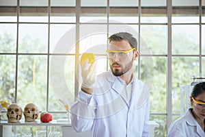 Scientist male working putting medical chemicals sample in test tube at laboratory