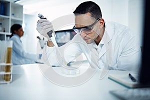 Scientist, man and pipette on petri dish for research, test or chemical analysis for healthcare innovation in laboratory