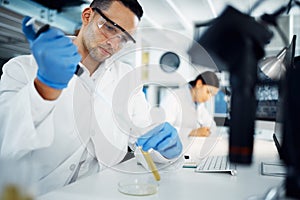 Scientist, man and pipette on test tube for research, exam or chemical analysis for healthcare innovation in laboratory