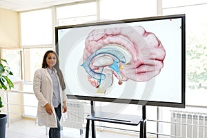 Scientist or medical student working with computer in laboratory with human organs on it