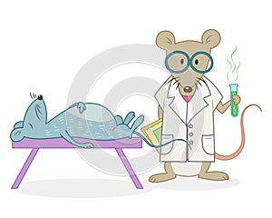 A Scientist Mouse and a Dead Mouse