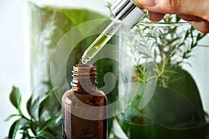 Scientist with natural drug research, Natural organic botany and scientific glassware, Alternative green herb medicine.