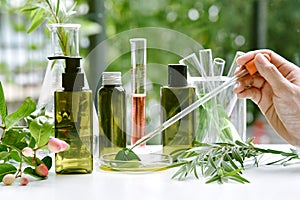 Scientist with natural drug research, Natural organic botany and scientific glassware, Alternative green herb medicine.