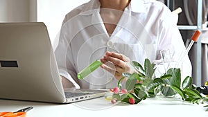 Scientist with natural drug research, Natural organic extraction data record using laptop computer.