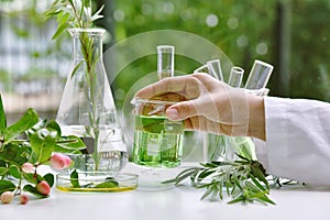 Scientist with natural drug research, Natural organic and scientific extraction in glassware, Alternative green herb medicine.