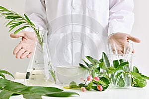 Scientist with natural drug research, Natural organic and scientific extraction in glassware, Alternative green herb medicine.