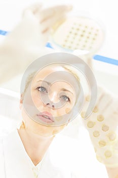 Scientist observing petri dish.