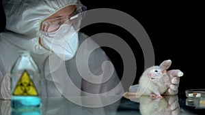 Scientist observing rat reaction after biological hazard, bioweapon development