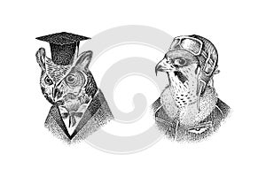 Scientist owl character in a hat. Peregrine falcon pilot with glasses. Hand drawn fashionable bird. Engraved old