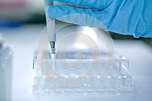 Scientist pipette dropping a sample into a test microtiter plate