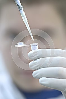 Scientist pipetting in a sterile plastic vial photo