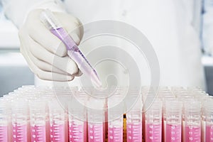 Scientist Placing Test Tube In Tray