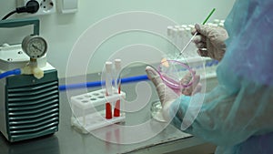 Scientist Placing Test Tubes In Laboratory Ready For Vaccine Testing.