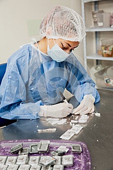 Scientist preparing paraffin blocks containing biopsy tissue for sectioning. Pathology laboratory. Cancer diagnosis photo