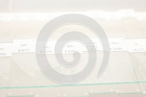 Scientist preparing slides with paraffin embedded tissue samples for immunohistochemistry assay in the laboratory photo