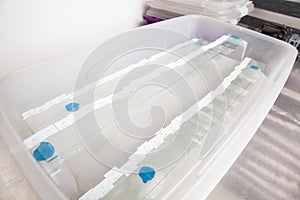 Scientist preparing slides with paraffin embedded tissue samples for immunohistochemistry assay in the laboratory photo