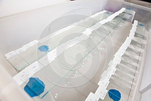 Scientist preparing slides with paraffin embedded tissue samples for immunohistochemistry assay in the laboratory photo