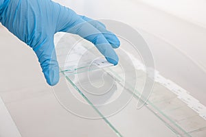 Scientist preparing slides with paraffin embedded tissue samples for immunohistochemistry assay in the laboratory photo