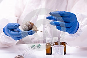 A scientist in a protective suit with a snail in his hands. Study of the properties of snail mucin. The use of snail