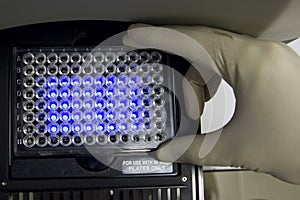 Scientist put the plate into pcr machine photo