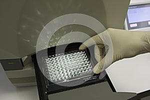 Scientist put the plate into pcr machine