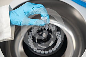 Scientist puts microcentrifuge tubes into centrifuge for phase separation