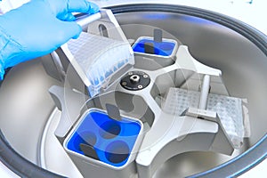 Scientist puts the test tubes in centrifuge. Automation in the clinical laboratory. Pipetting robot laboratory. Research and