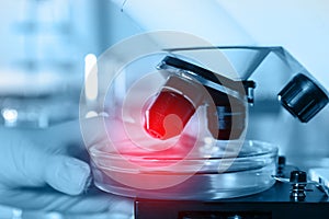 Scientist putting Petri dish with liquid under microscope. Laboratory analysis